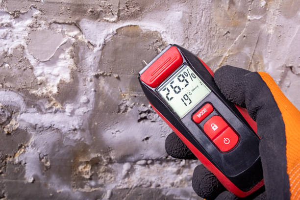 Best Mold Remediation for Specific Building Types in USA